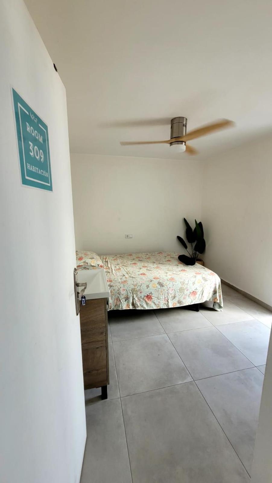 Cisne By Nest Hostel San Antonio  Exterior photo